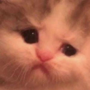 Meet your Posher, Ky